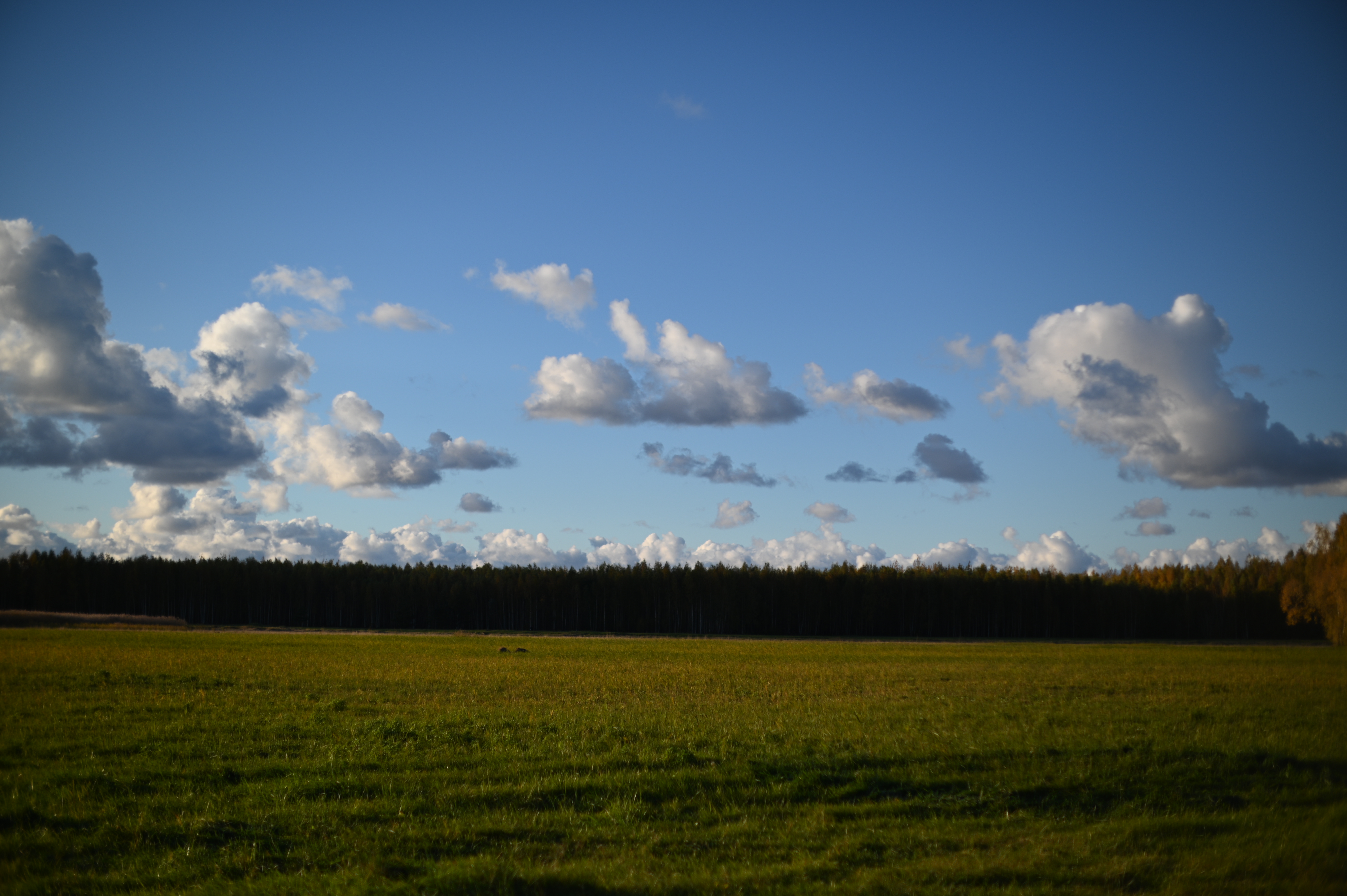 2025/10/18 - walk/DSC_0169.JPG